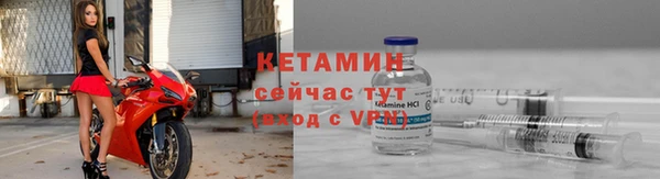 гидропоника Гусиноозёрск