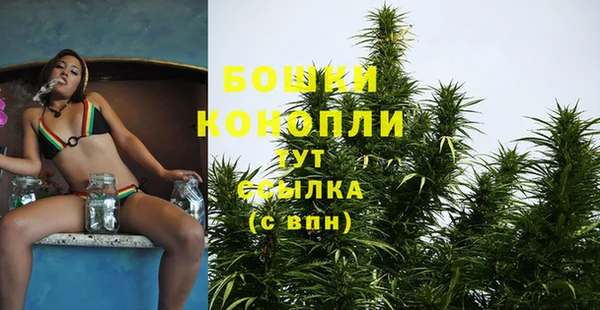 гидропоника Гусиноозёрск