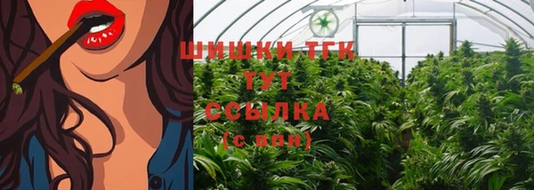 гидропоника Гусиноозёрск