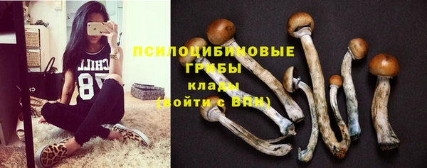 кокаин премиум Гусев