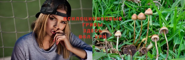 гидропоника Гусиноозёрск